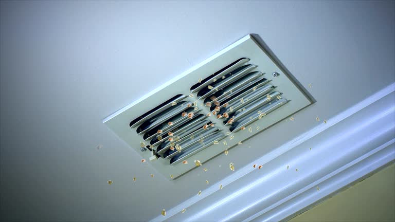 Best Home Air Vent Cleaning  in Creola, AL