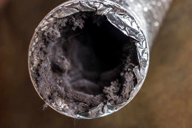 Best Emergency Air Duct Cleaning  in Creola, AL